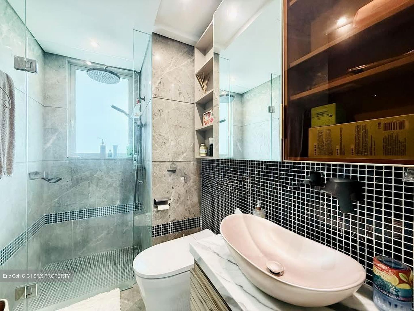 The Vision (D5), Condominium #564247901